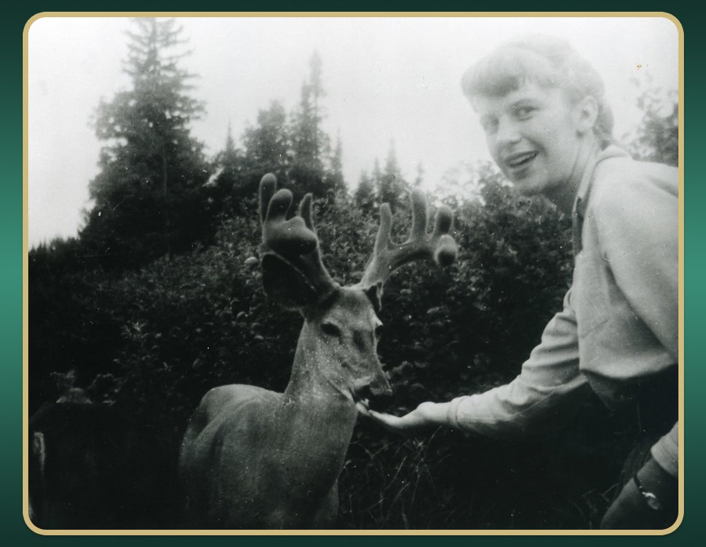 Deer Island Sylvia Plath